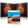 DAddario NB1253 Nickel Bronze Light Acoustic Strings 2-Pack with EJ16 Phosphor Bronze Light Single-Pack