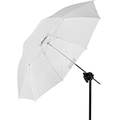 Profoto Shallow Translucent Umbrella, Medium, 41 (104.14cm)