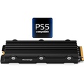 Nextorage Japan 2TB Internal SSD Work with Playstation 5 and PC M.2 2280 with Heatsink PCIe Gen4.0 NVMe NEM-PA2TB/N SYM Maximum Transfer Rate Read: 7300MB/s, Write: 6900MB/s Solid
