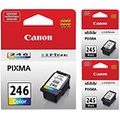 Genuine Canon PG-245 Black Ink Cartridge - 2 Pieces (8279B001) + Canon CL-246 Color Ink Cartridge (8281B001)