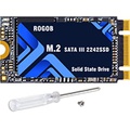 ROGOB 256GB M.2 SATA SSD 2242 NGFF B&M Key Internal Solid State Drive 6Gb/s for Desktop Laptop PC