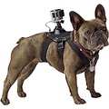 GoPro Fetch Dog Harness - Official GoPro Mount