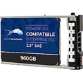 Water Panther 960GB SATA 6Gb/s 2.5 SSD for Dell PowerEdge Servers Enterprise Drive in 13G Tray
