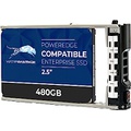 Water Panther 480GB SATA 6Gb/s 2.5 SSD for Dell PowerEdge Servers Enterprise Drive in 13G Tray