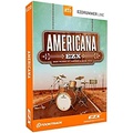 Toontrack Americana EZX