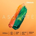 DAddario Ascente Series Viola G String 16+ in., Medium