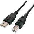 Tera Grand Black USB 2.0 A Male to B Male Cable 10