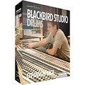 Steven Slate Audio Blackbird Studio SSD4 Expansion