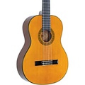 Washburn C40 Classical Guitar
