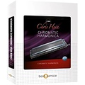 Best Service Chris Hein Harmonica
