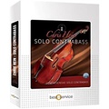 Best Service Chris Hein Solo ContraBass EXtended