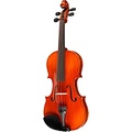 Ren Wei Shi Concert Model Violin Outfit outfit 4/4 size