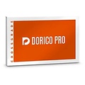 Steinberg DAC Dorico Pro 5 CG