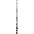 DI ZHAO DZ 301 Student Flute, Closed Hole, Y-Arms, Sterling Silver Riser and Lip-plate Offset G C-Foot