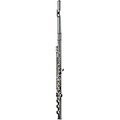 DI ZHAO DZ 601 Intermediate Flute, Open Hole, Pointed Arms, Silver Headjoint, Silver Plated Dody Offset G B-Foot