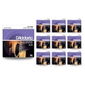 DAddario EJ13 80/20 Bronze Custom Light Acoustic Guitar Strings 10 Pack