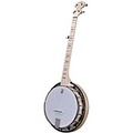 Deering Goodtime Special 5-String Banjo with Resonator Maple