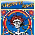 WEA Grateful Dead - Grateful Dead (Skull and Roses) (50th Anniversary Edition) [2 LP]