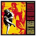 Universal Music Group Guns N Roses - Use Your Illusion I (EX)