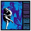 Universal Music Group Guns N Roses, Use Your Illusion II (EX)