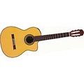Takamine Hirade Classic TH5C Acoustic-Electric Guitar Gloss Natural