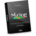 Audio Modeling ILIO SWAM String Sections Download