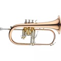 Levante LV-FH6205 Professional Series Bb Flugelhorn Gold Brass