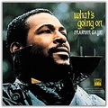 Universal Music Group Marvin Gaye - Whats Going On Vinyl LP