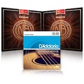 DAddario NB1253 Nickel Bronze Medium Acoustic Strings 2-Pack With EJ16 Phosphor Bronze Light Single Pack