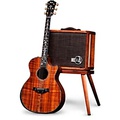 Taylor PS24ce LTD 50th Anniversary Grand Auditorium Acoustic-Electric Guitar with Circa 74 Amp Natural