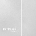Pirastro Perpetual Soloist Series Cello A String 4/4 Size, Heavy Chrome, Ball End