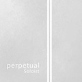 Pirastro Perpetual Soloist Series Cello D String 4/4 Size, Medium Chrome, Ball End