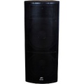 Peavey SP 4 3-Way Dual 15 Speaker