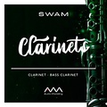 Audio Modeling SWAM Clarinets (Download)