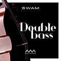 Audio Modeling SWAM Double Bass (Download)
