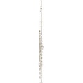 Tomasi Series 10 Flute, Silver-Plated Body, Solid .925 Silver Headjoint Grenadilla Wood Lip-Plate and Riser