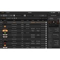 IK Multimedia TONEX MAX Software Plug-in