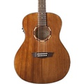 Washburn WL012SE Woodline 10 Series Acoustic-Electric Guitar