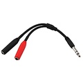 Pig Hog Y Cable Stereo 1/4(M) to Dual Mono 1/4(F) 6 in.